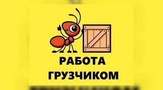 💼 Вакантная должность: