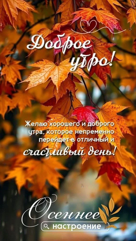 Открытки любимым 🌸🥰