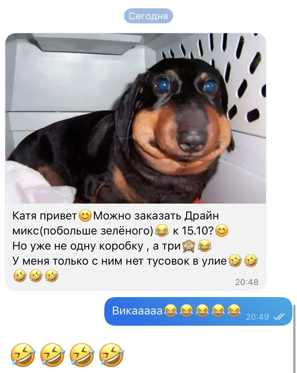 Я вас обожаю 🤣🤣🤣