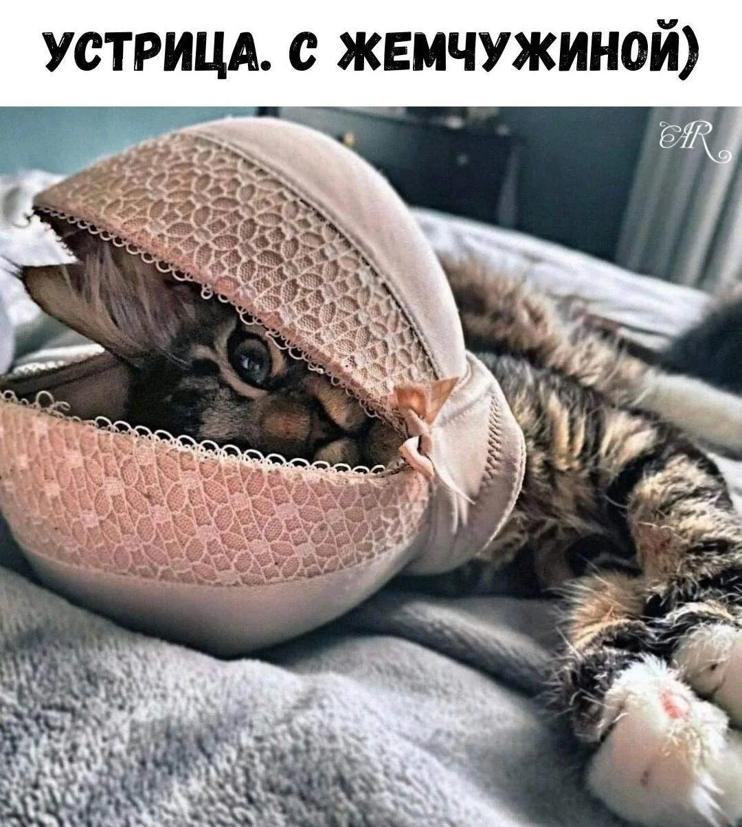 Хиханьки Да Хаханьки • подписаться