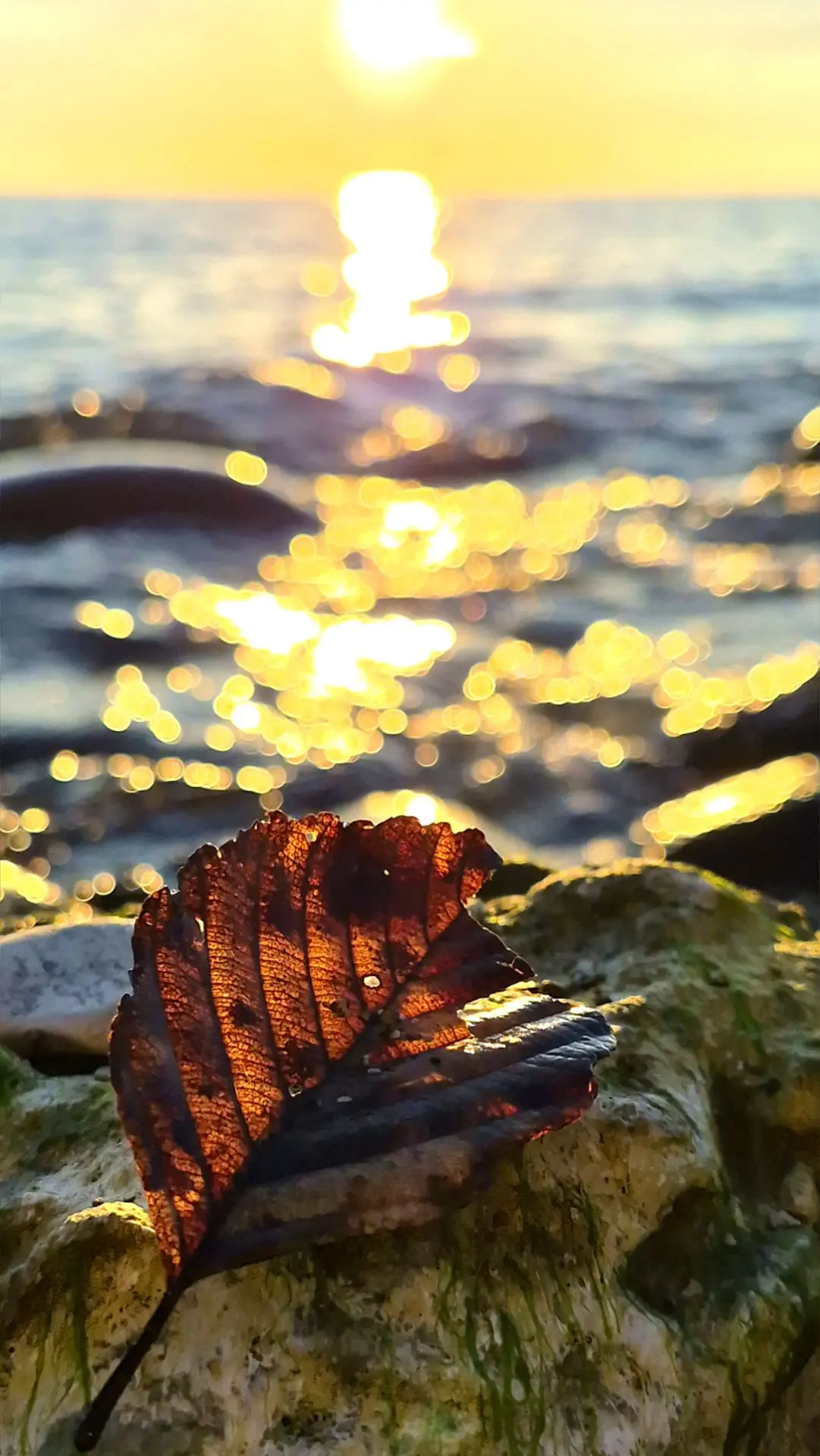 Волшебный закат сегодня, октябрь, 10ое🍂💥🍁..