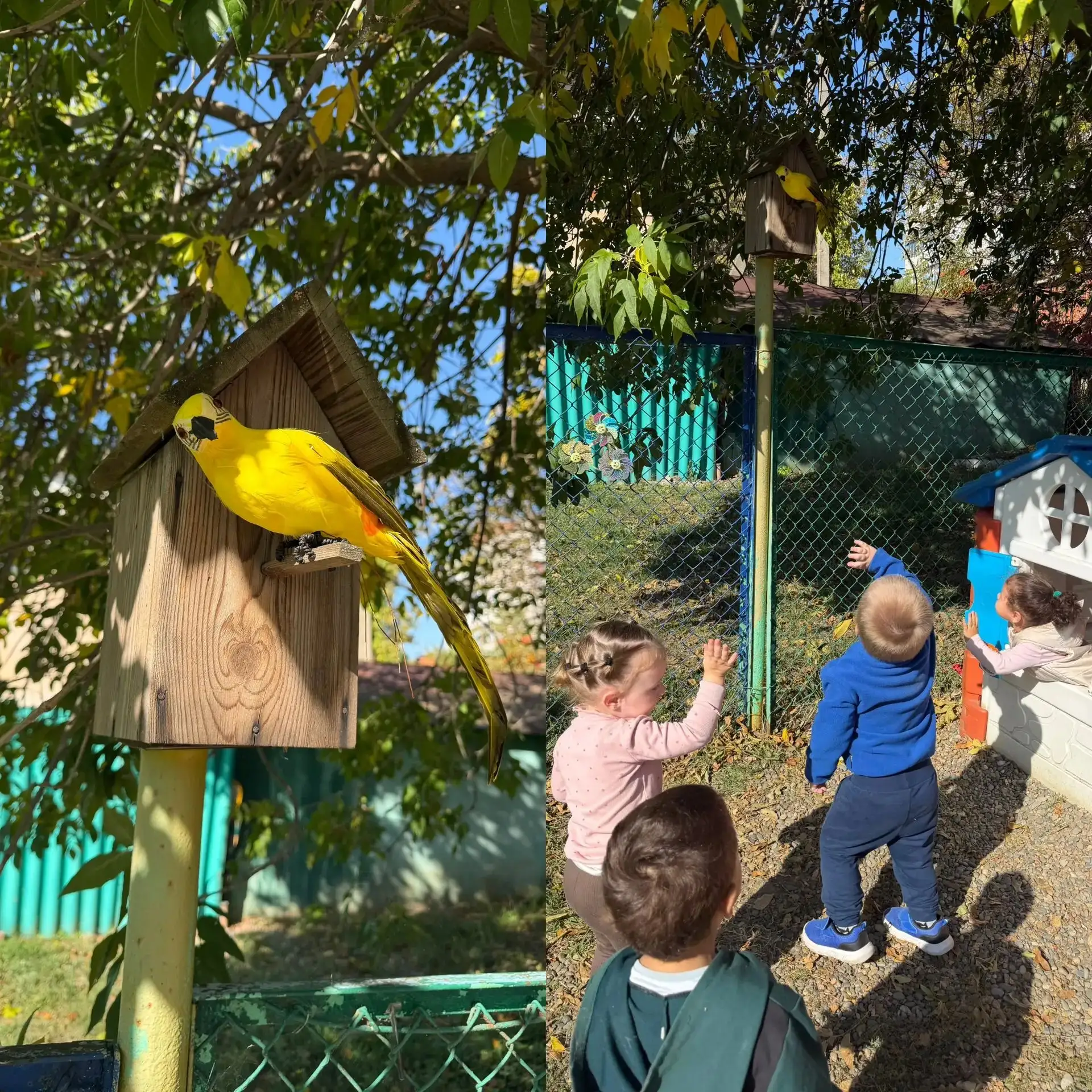 🦜 В гости к нам прилетел яркий гость! 💛