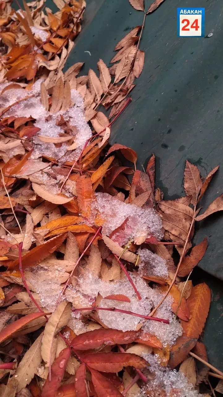 ‎Друзья, всем доброе утро🍁