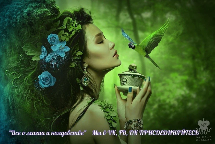 Рецепт эликсира молодости древних знахарей...