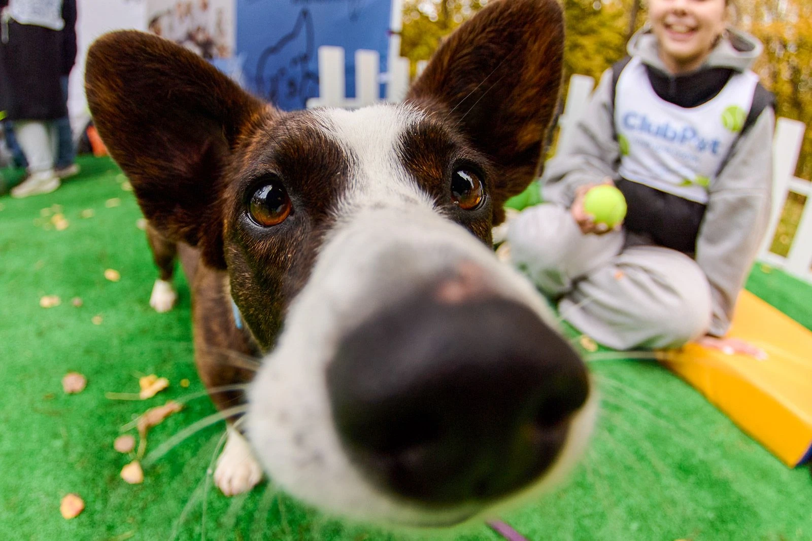 🐶 Самый милый забег прошел в эту субботу в «Царицыне» на Нижнем пруду! Москвичи вместе...