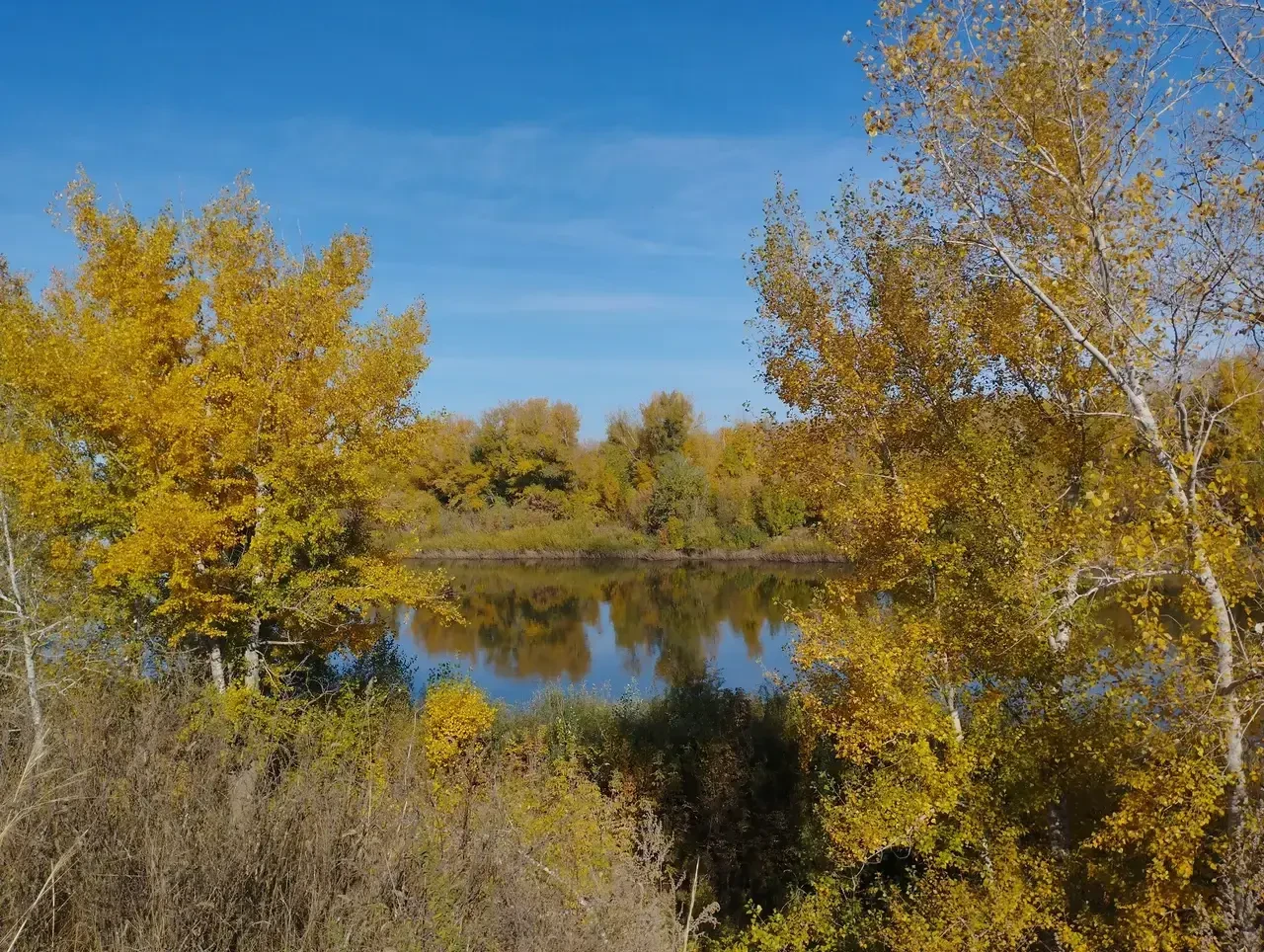 🌞 Оренбуржцев ждет теплый воскресный день