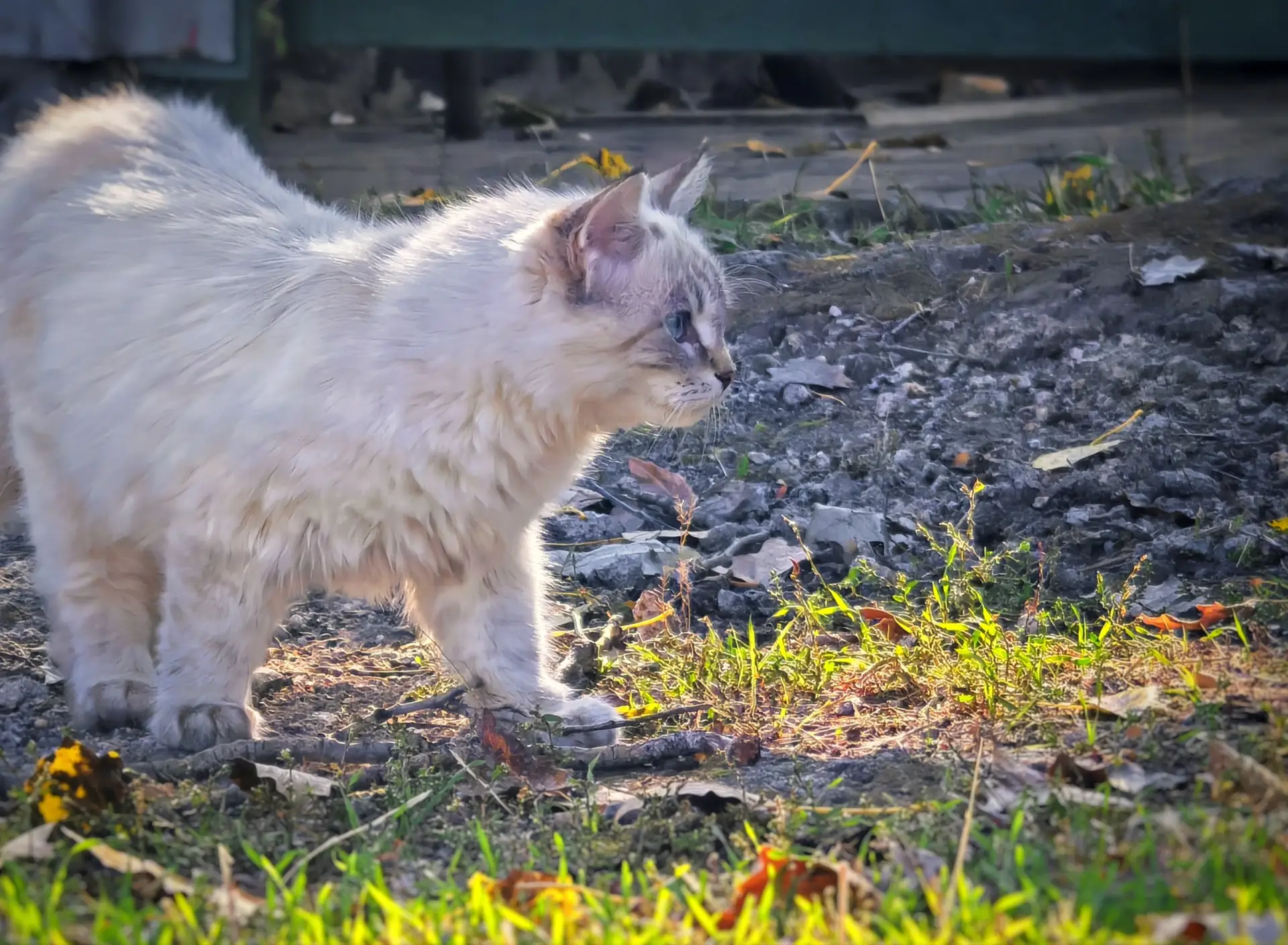 Житель Слободки🐾