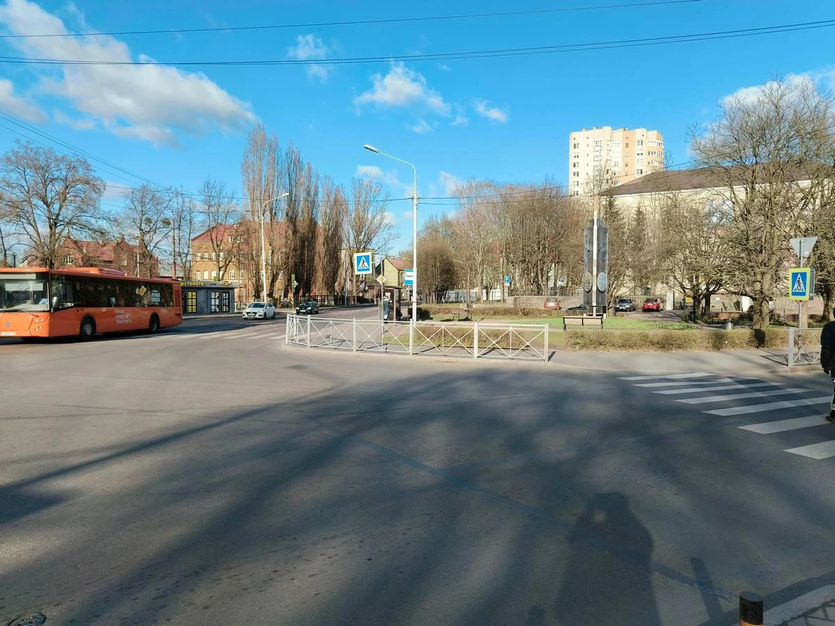 Дятлова: проблем с водителями и автобусами в Калининграде нет 👍