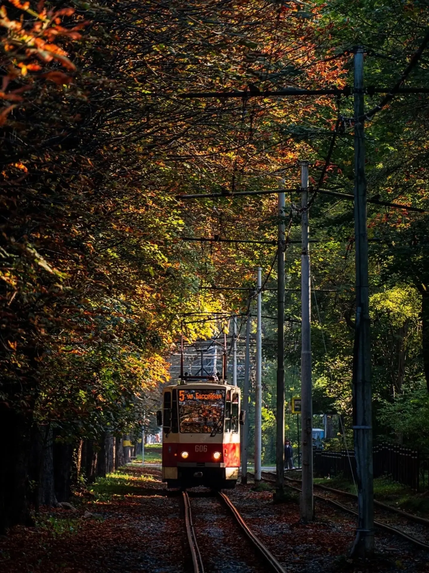 Любимая «пятёрка» едет по осеннему Калининграду 🍁