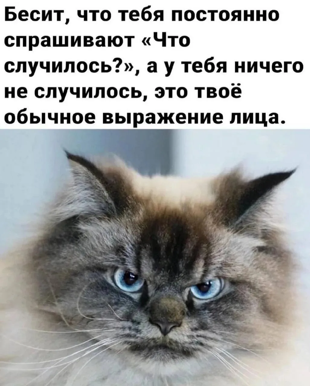 Понравился контент? Подпишись на наш второй канал MAXимально вкусно!