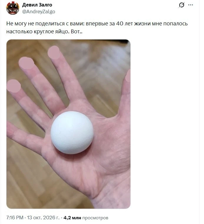 📱 Пользователь соцсети X замазал отпечатки пальцев на фото с яйцом
