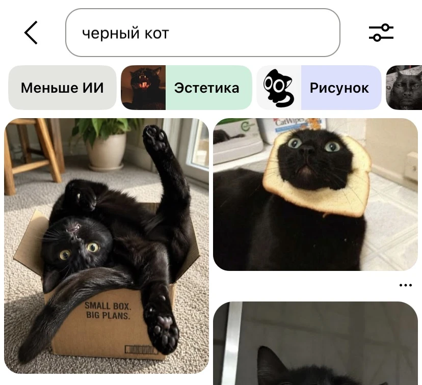 Хахаха я просто искала референс, чтобы раскрасить Яшу