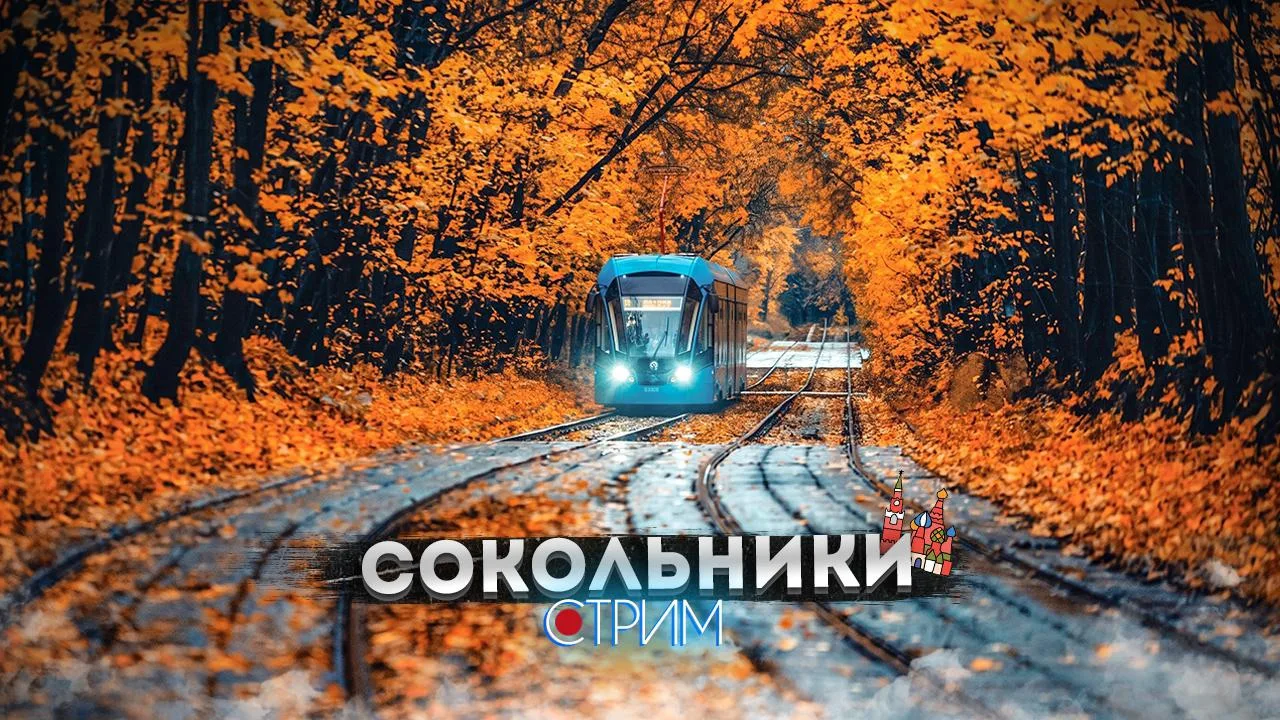 Сокольники — СТРИМ