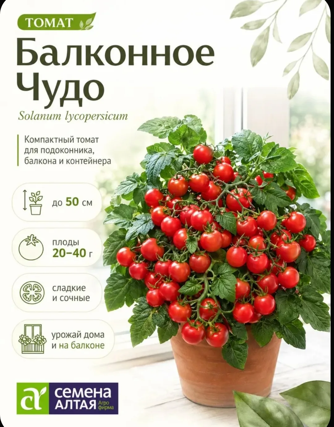 Выбирайте свой идеальный томат и заказывайте по ссылкам ниже 👇