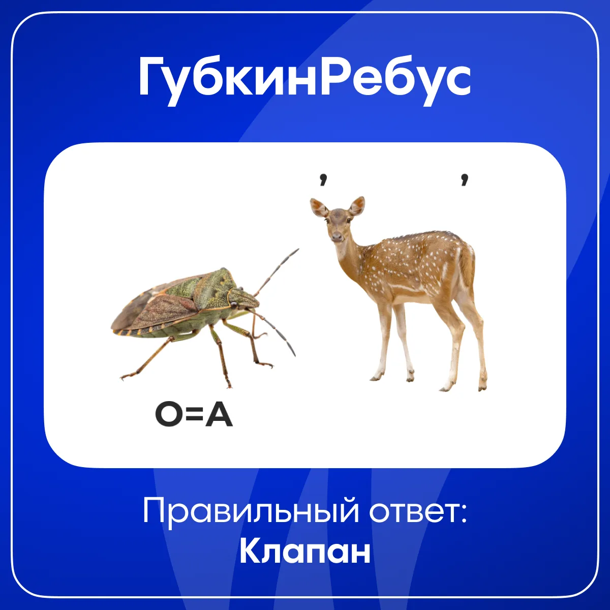🌟 Вот и настало время подвести итоги этой недели в рубрике #ГубкинРебус 🥳