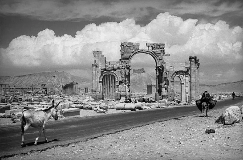 🗓 1966 год. Пальмира, Сирия