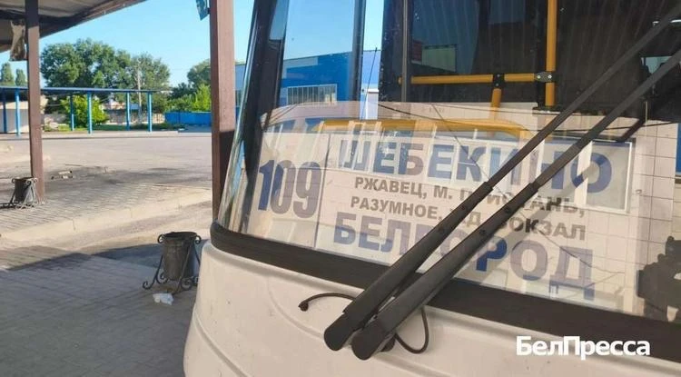 🚍 Наш корреспондент проехала по маршруту Белгород – Шебекино и узнала, почему пассажир...