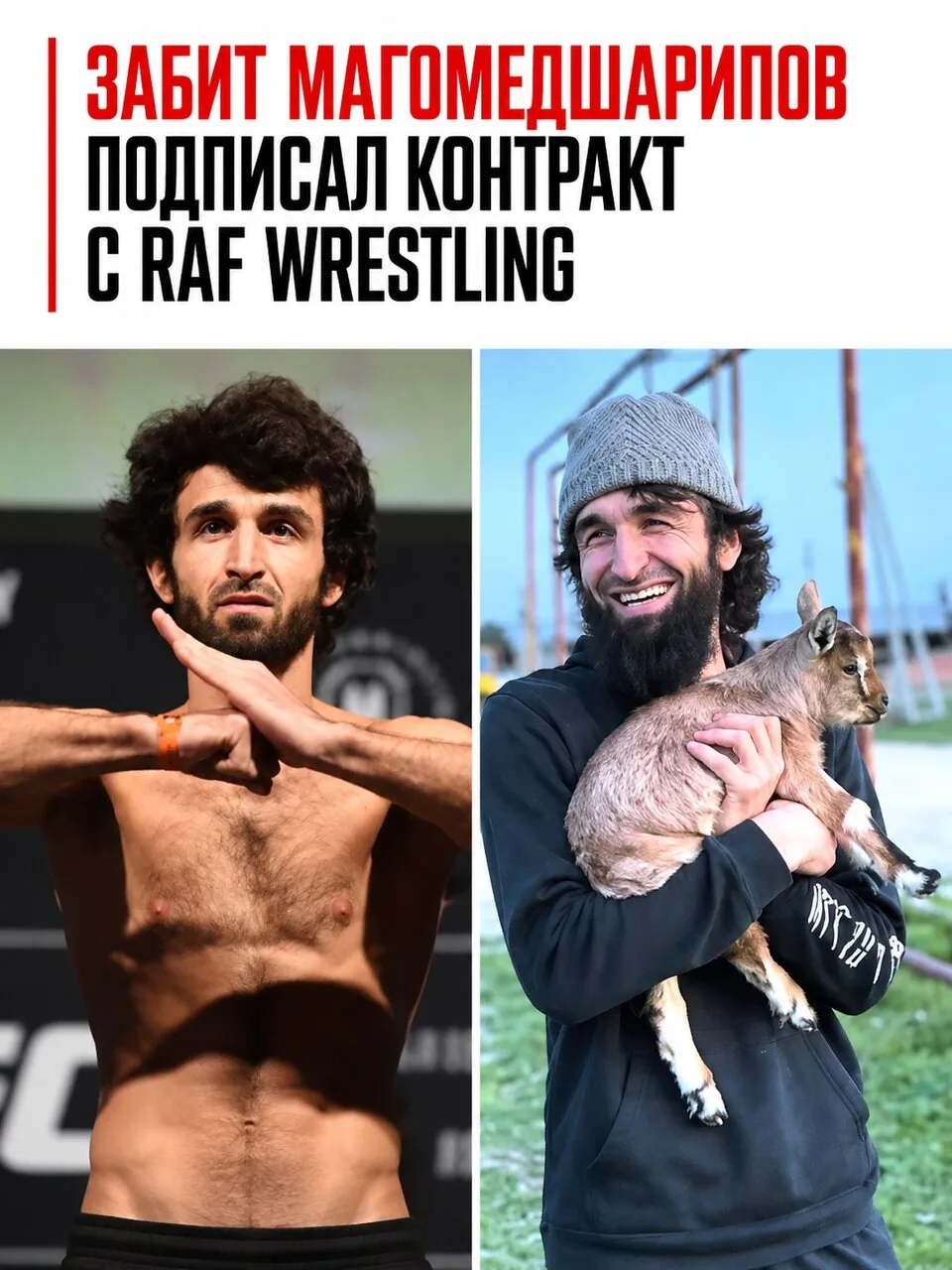 Бывшая звезда UFC Забит Магомедшарипов нашёл новую площадку для выступлений. Россиянин ...