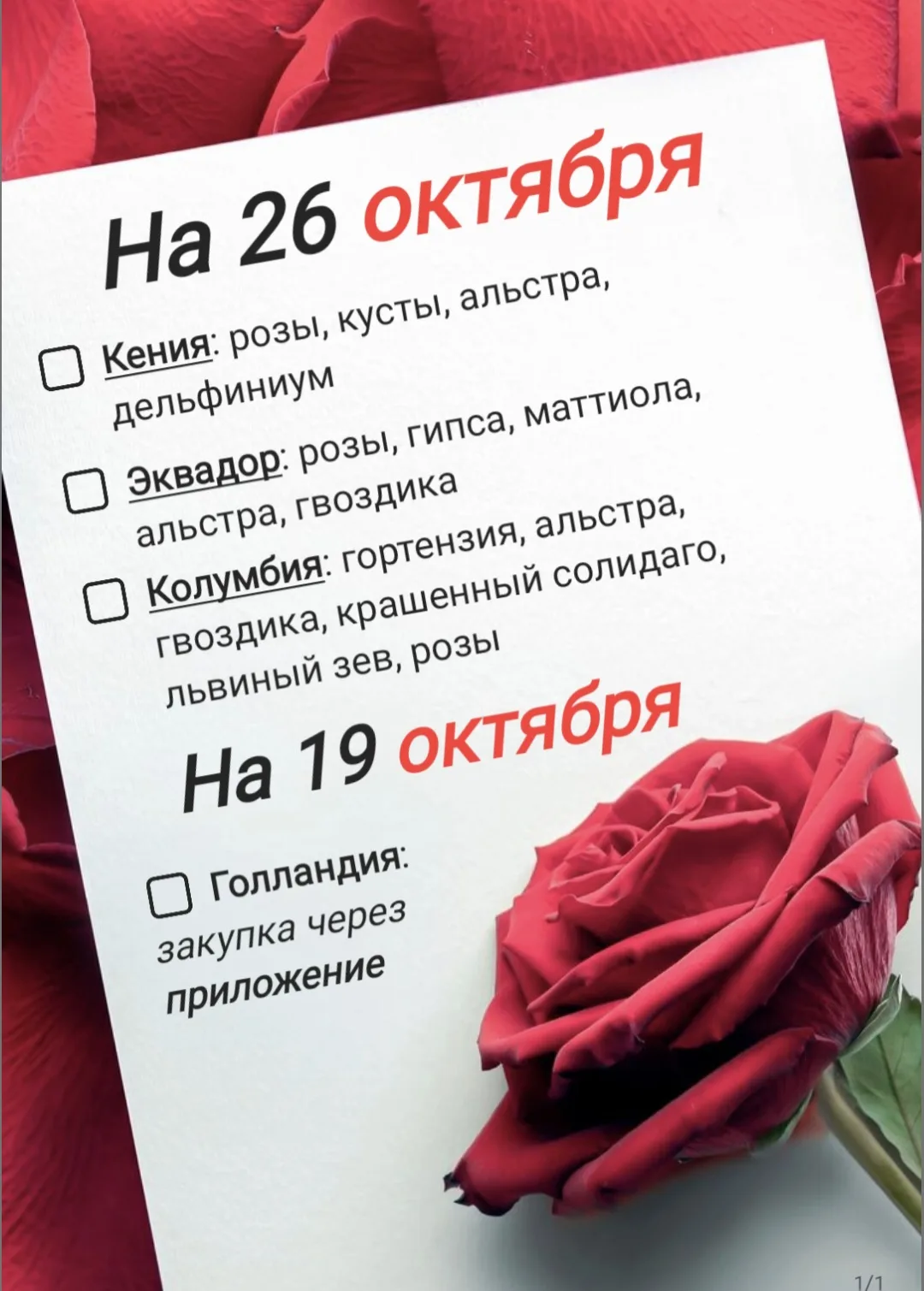 Сегодня закупаем предзаказы: