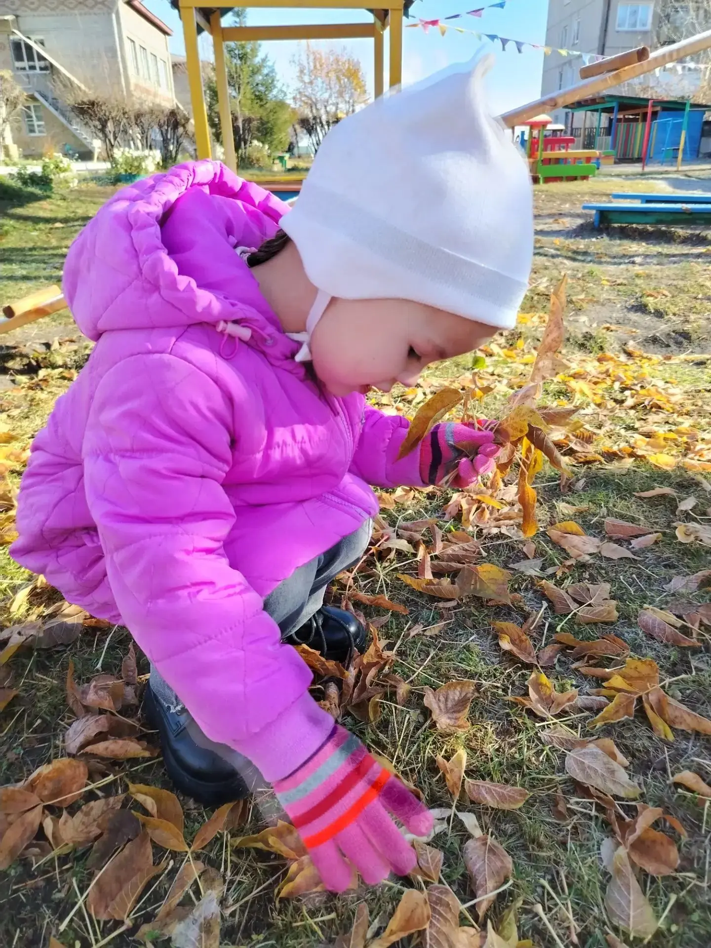 🍁 15 октября — День собирания осенних листьев! 🍁
