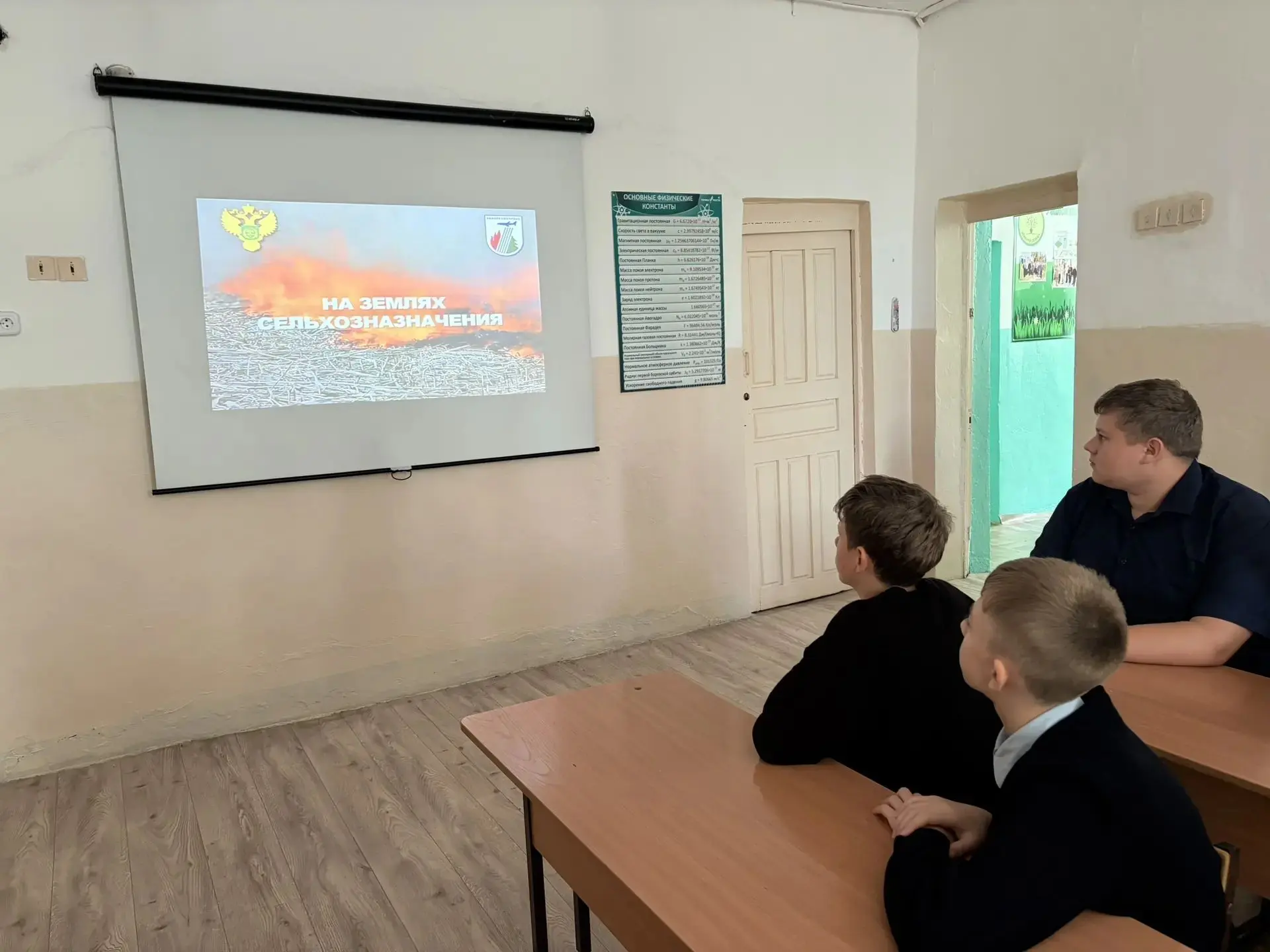 🔥 Не жгите сухую траву!