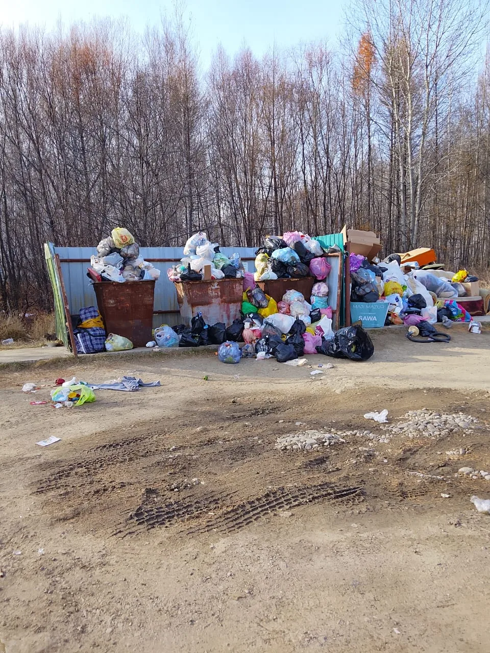 Сколько можно кормить крыс уже бегают как поросята кабан и лисы приходят когда этот бар...