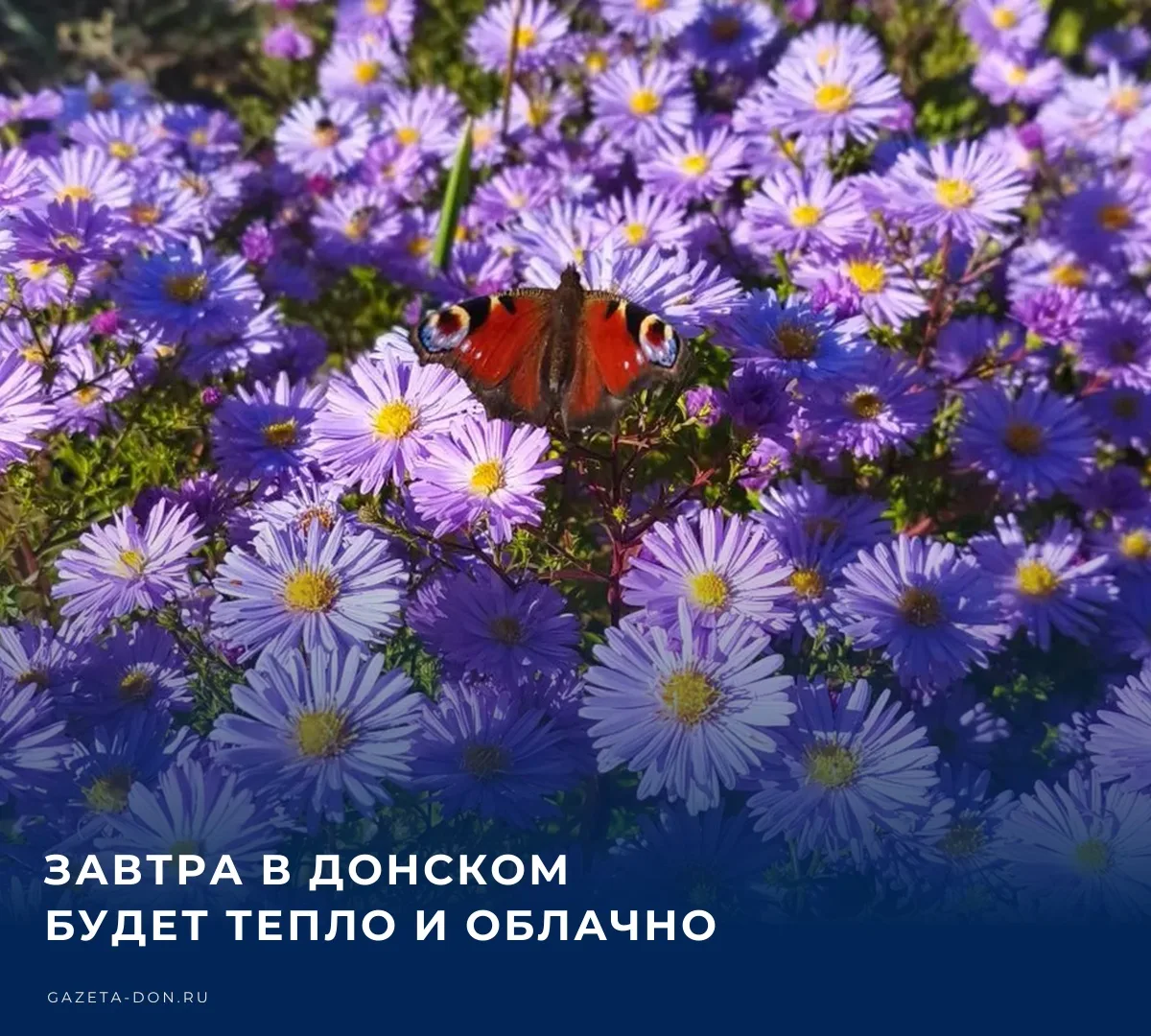 🌤️ 9 октября в нашем городе по прогнозам будет преобладать переменная облачность, без ...