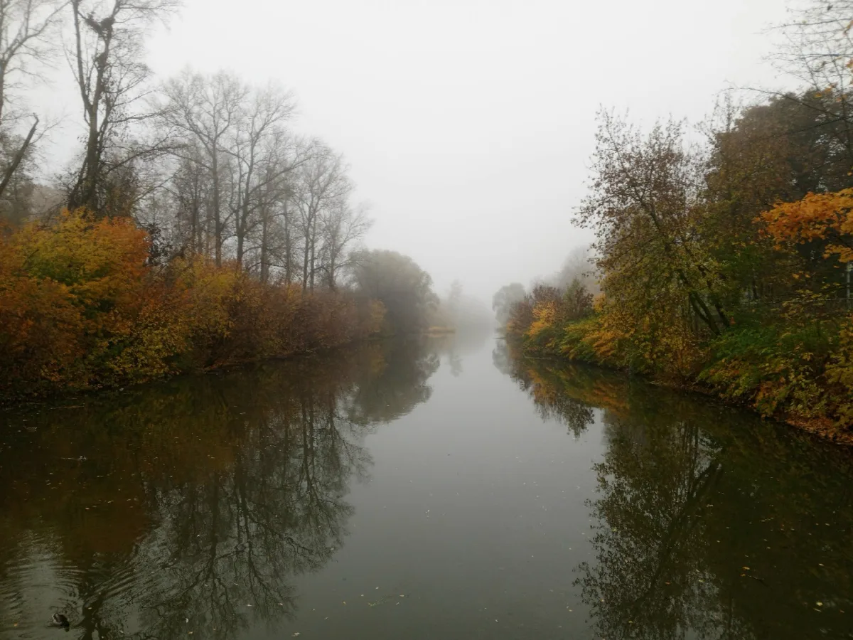 Туманное утро 🌫️