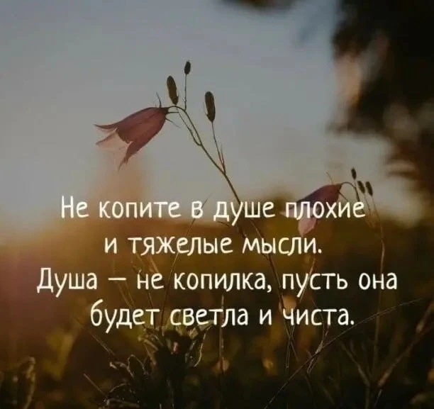 Смысл в каждой фразе — Подпишись