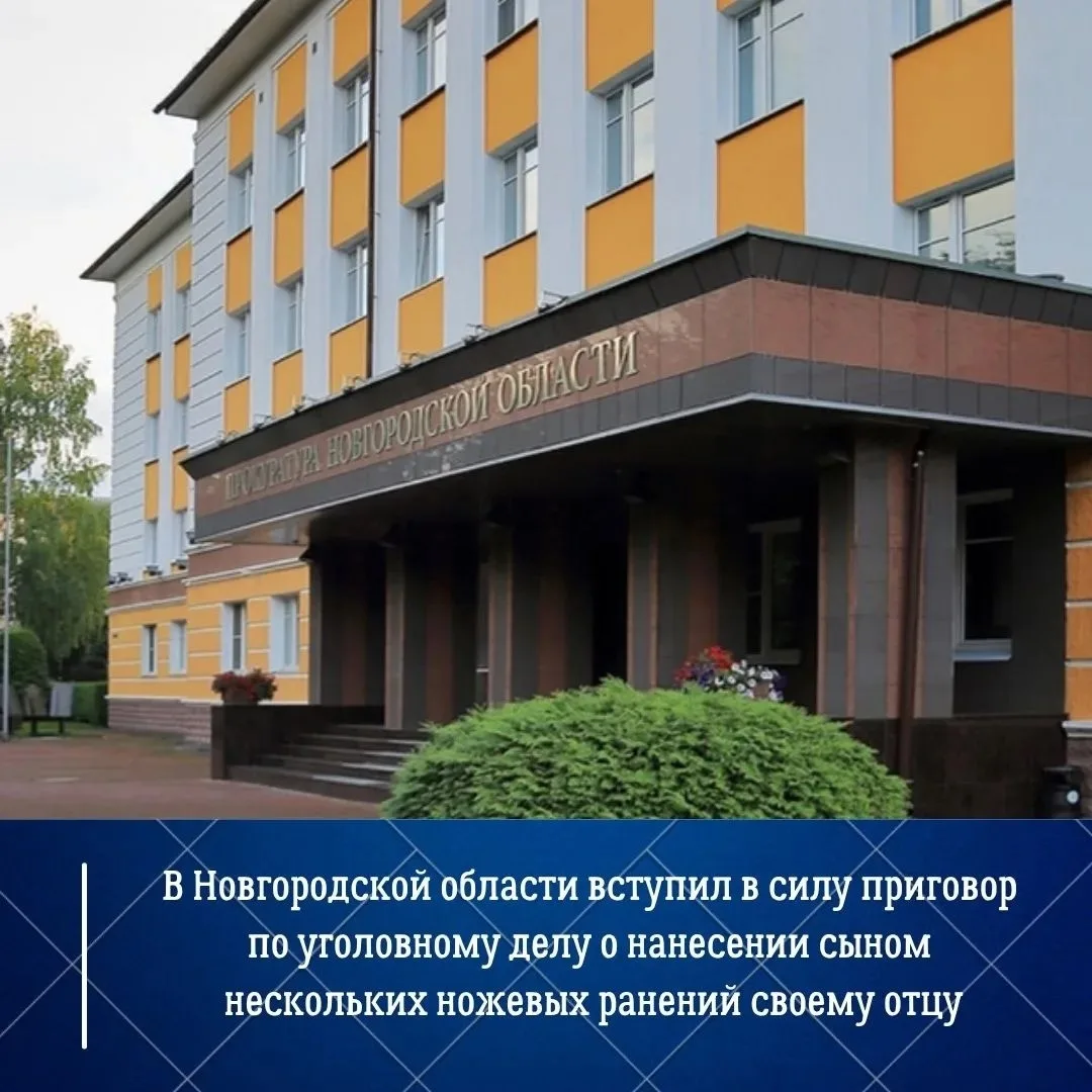 ⚖️В Новгородской области суд первой инстанции признал 23-летнего жителя Хвойнинского ра...