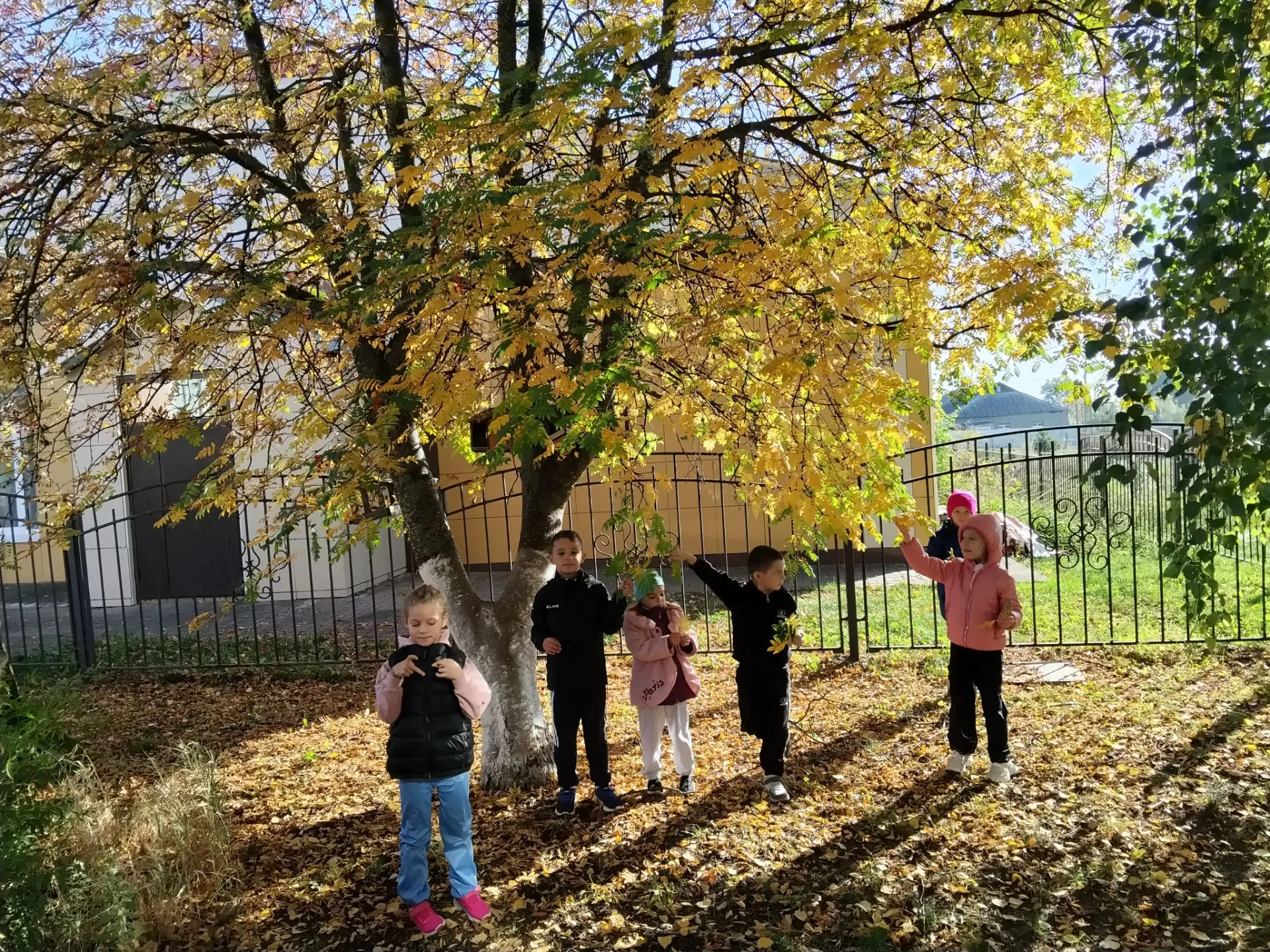 Сбор осенних листьев 🍂🍁🍂🍁🍂и создание поделок — это прекрасная традиция, которая об...