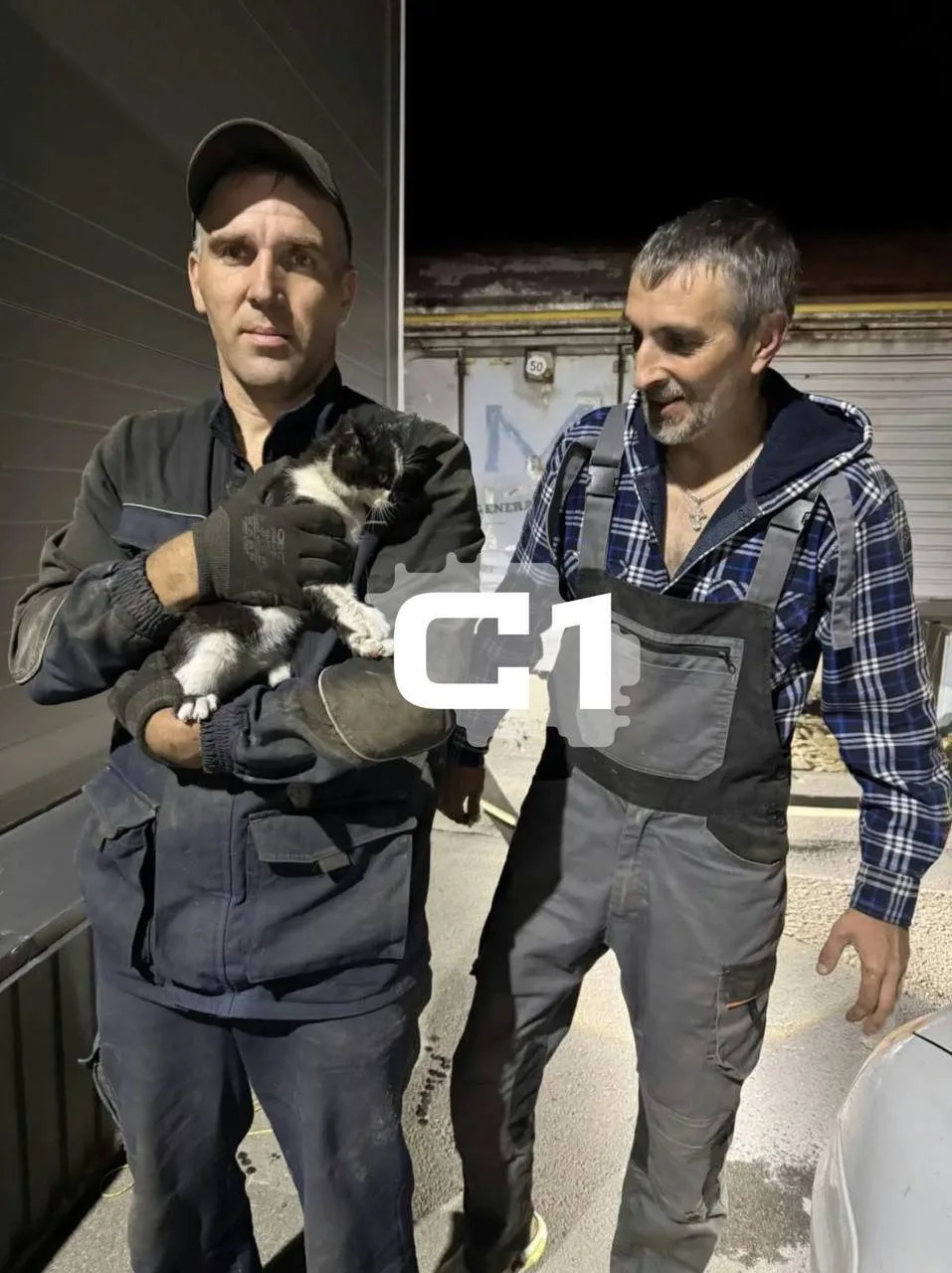 🐈 На Ставрополье местные жители спасли кота, застрявшего под вагоном