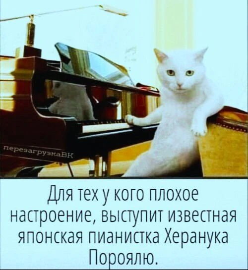 Подпишись, чтобы не потерять👇