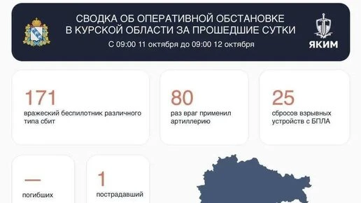 Хинштейн: за сутки над Курской областью сбили 171 беспилотник