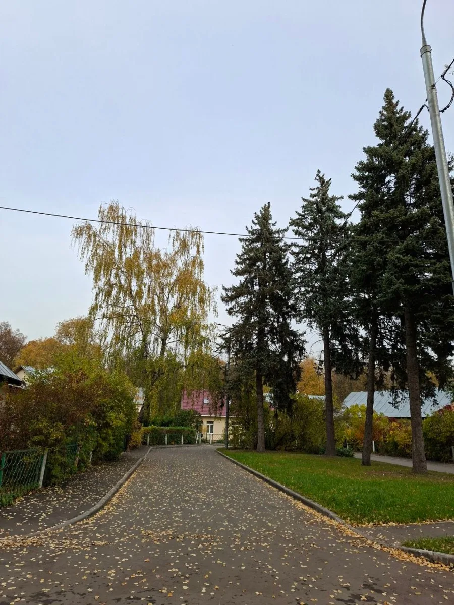 Доброе осеннее утро, Голышманово! Делитесь атмосферными снимками в комментариях.