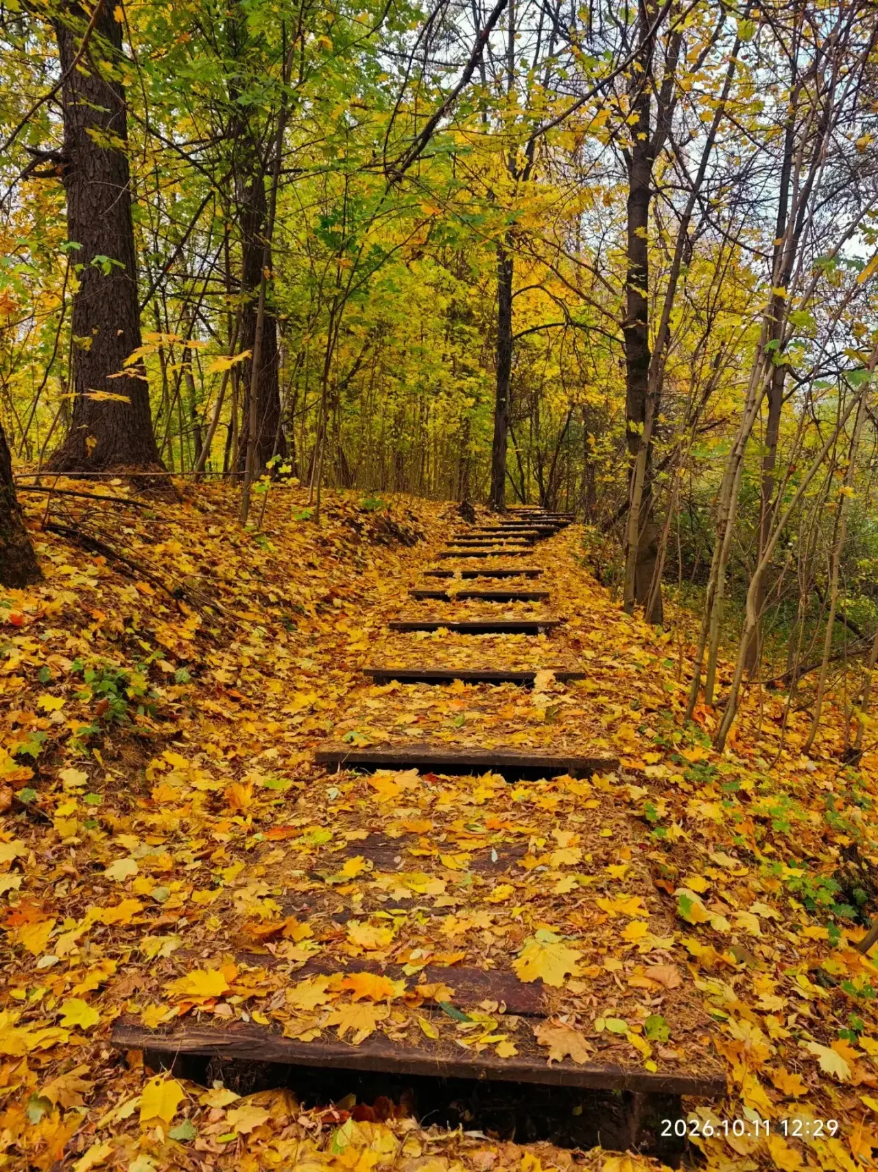 В Москве нашли портал в осеннюю сказку 🍁
