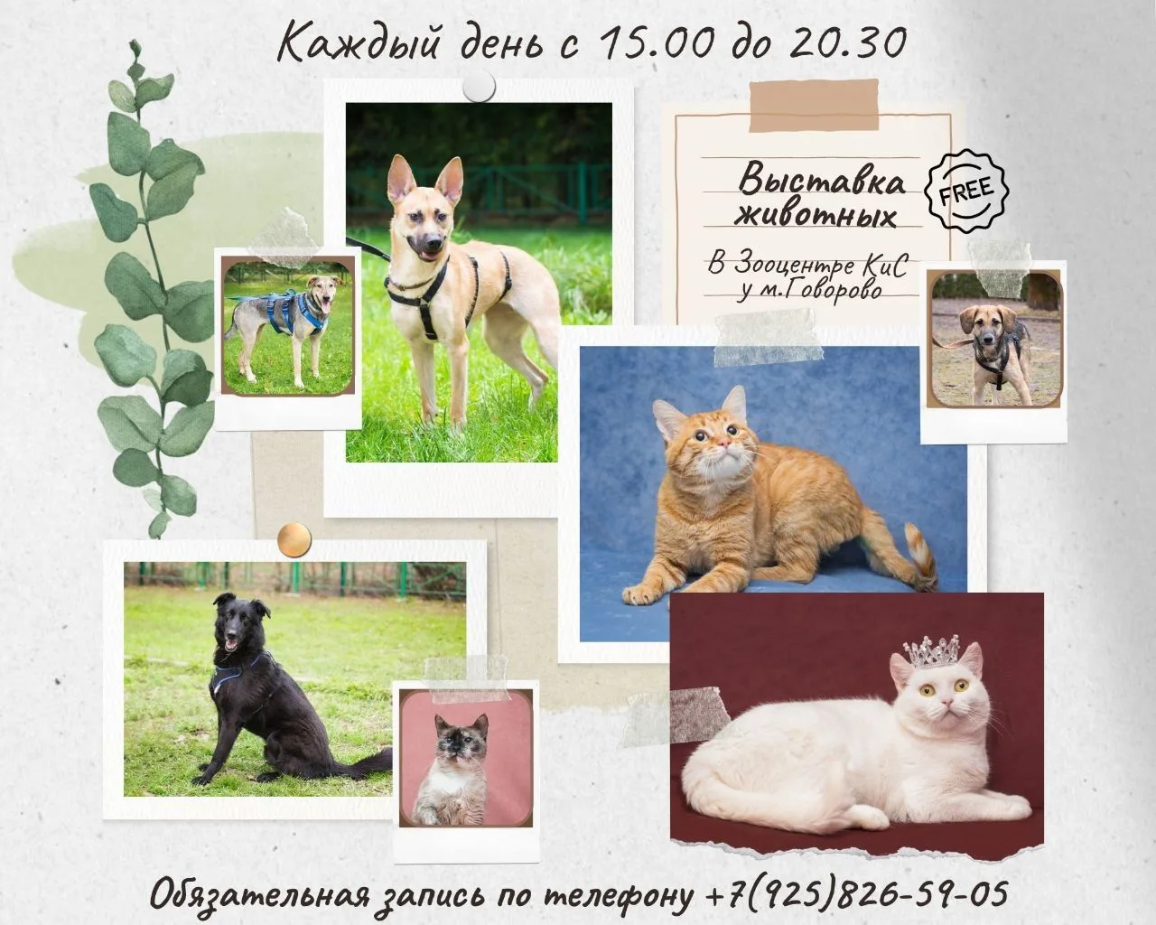 Завтра и послезавтра - выставка выходного дня в Зооцентре КиС у м. Говорово, мцд-4 Меще...