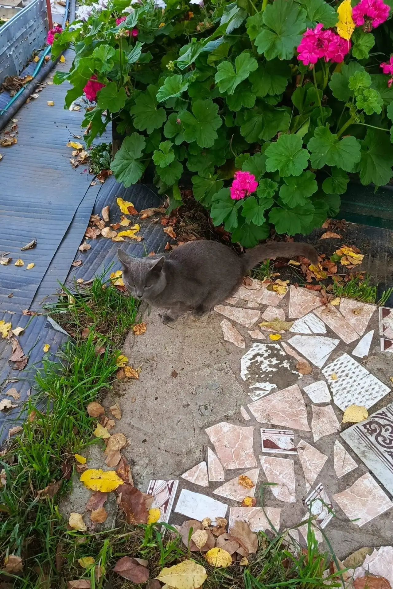 КИНЕШМА!!