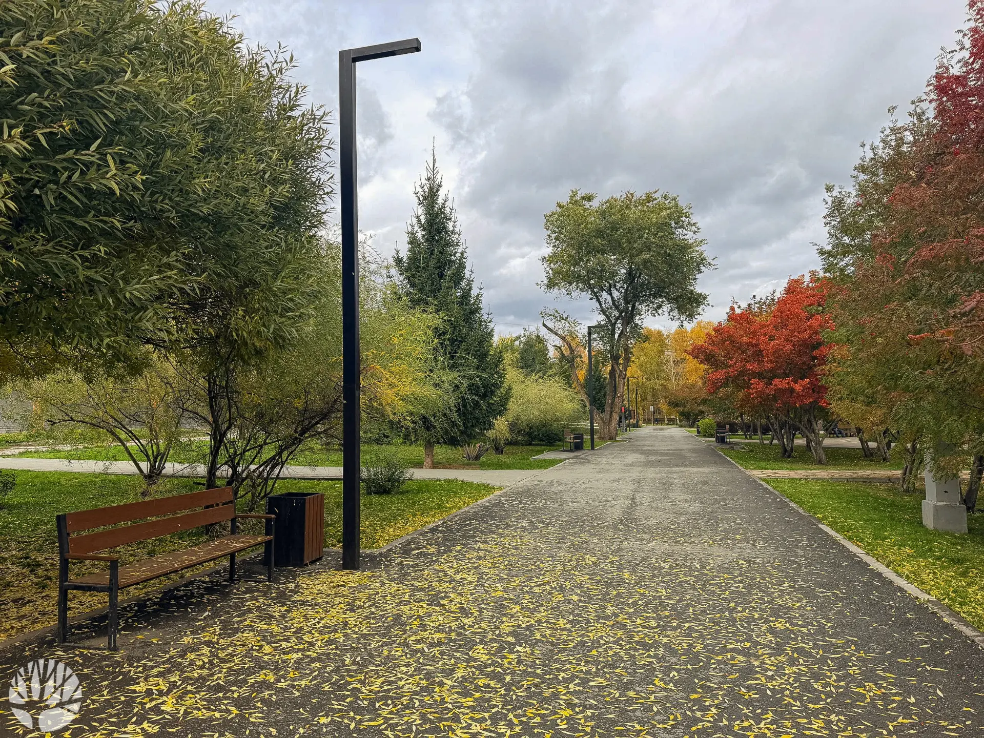 Многообразие красок в Затулинском парке 🍂🍁