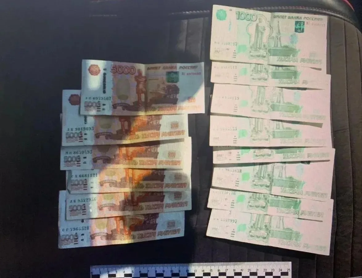 Житель Красногвардейского района осужден за хищение 1,1 млн рублей у пожилой женщины