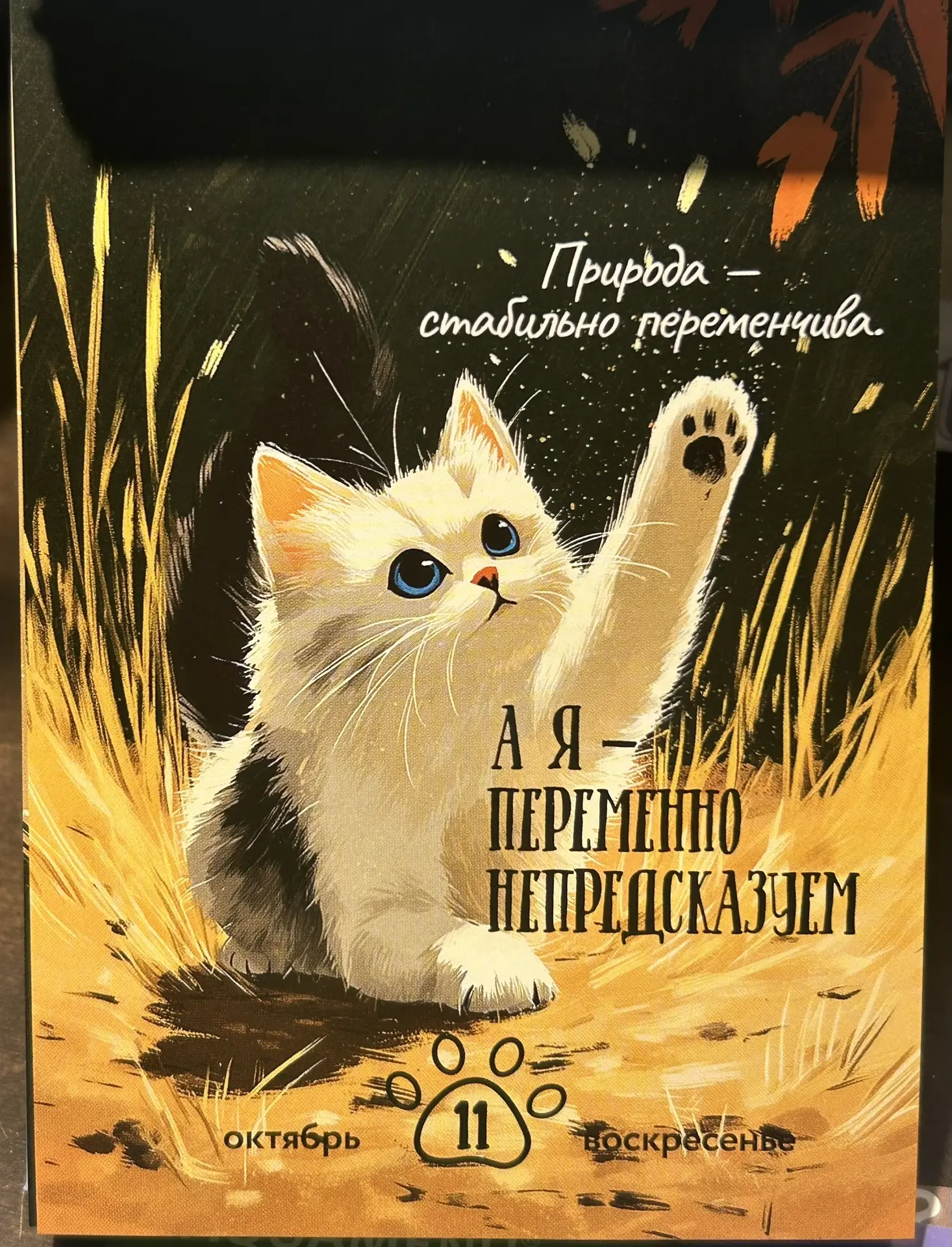 Друзья, всем доброе утро!