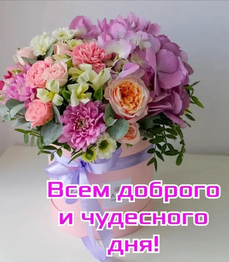 🌺ОТКРЫТКИ И ПОЗДРАВЛЕНИЯ 🌺