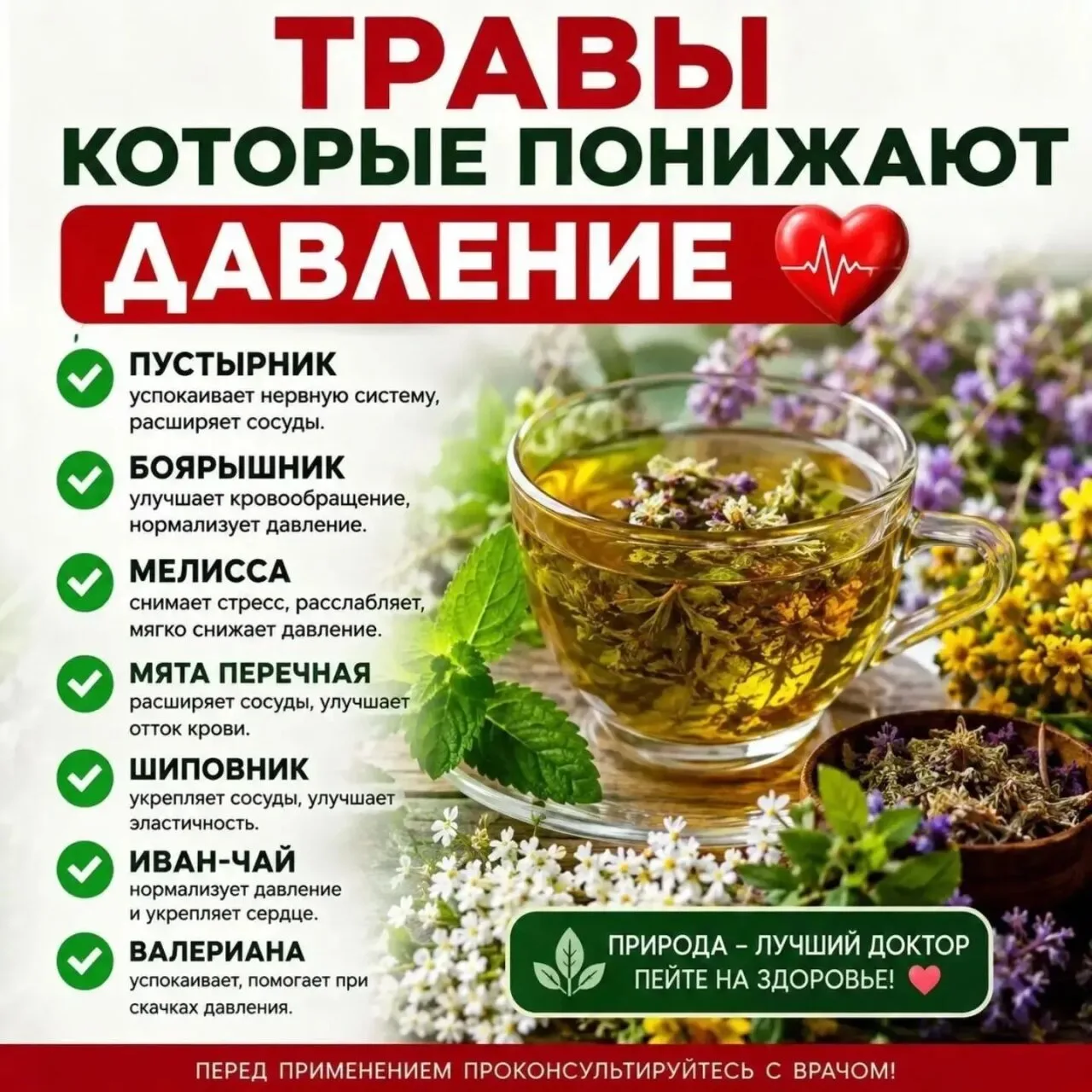 🌿  ТРАВЫ, КОТОРЫЕ МОГУТ ПОМОЧЬ ПРИ ПОВЫШЕННОМ ДАВЛЕНИИ