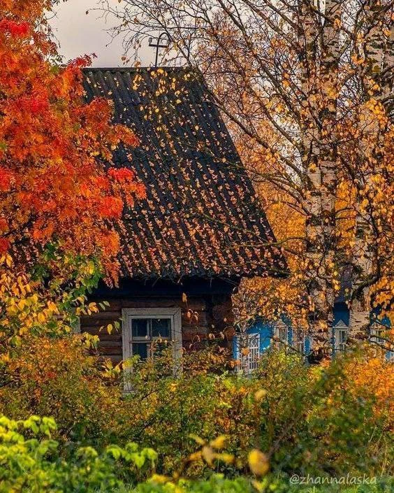 Осенних дней очарованье,