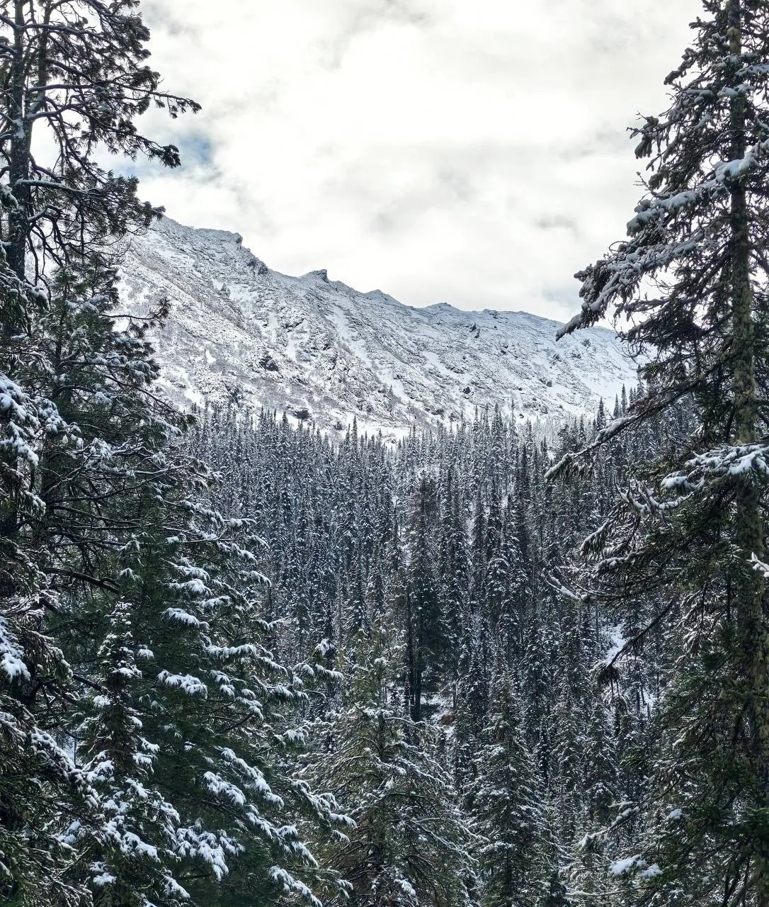 ❄️ Зимняя сказка на Мамае — +1°C, а кругом снег