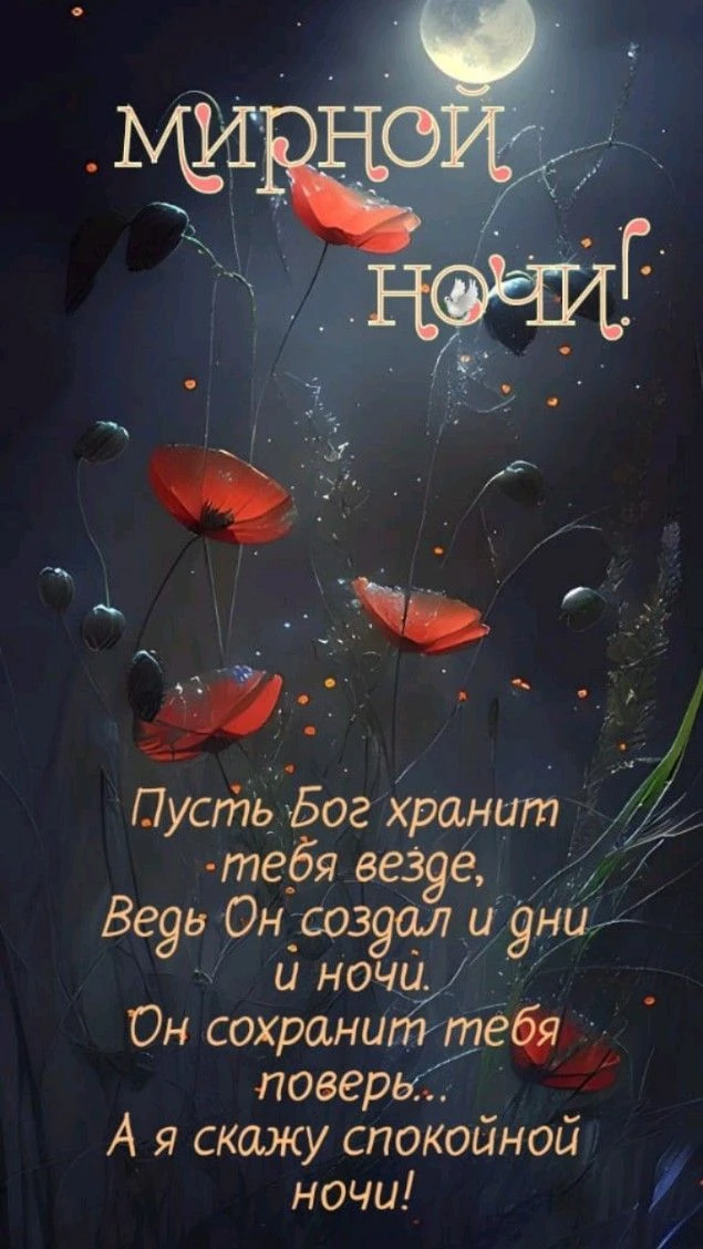 Желаю, чтобы эта ночь была уютной и безопасной🩷. Пусть утро принесет радость🩷. Сладки...