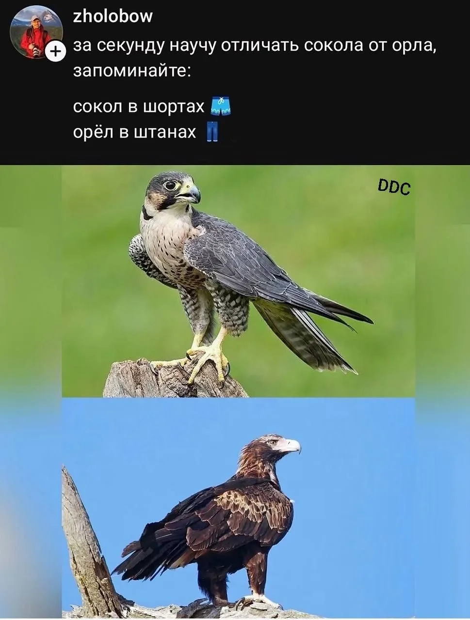 Фото