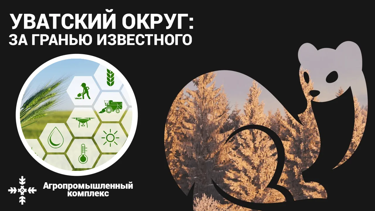 ✨ Уватский округ: За гранью известного