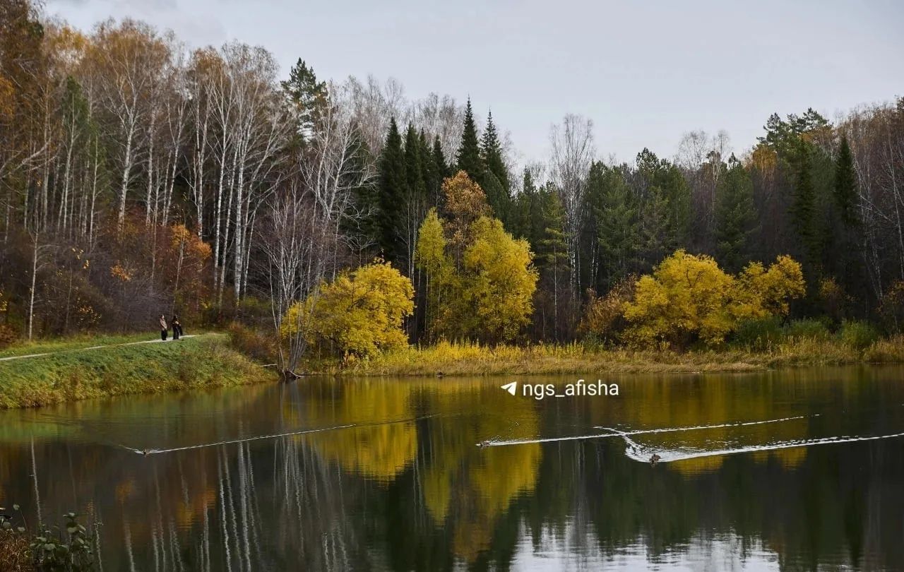 В нашем Ботаническом саду сейчас очень красиво 🍂
