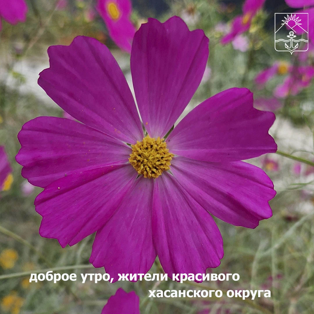 🌤Сегодня ясно